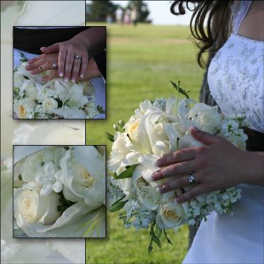 Professional Studio Photography