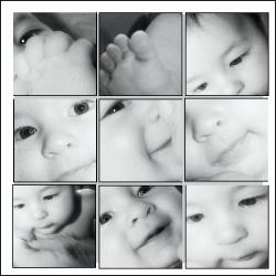 Graphic Designed Collage