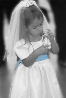 Denver Colorado Wedding Photographer