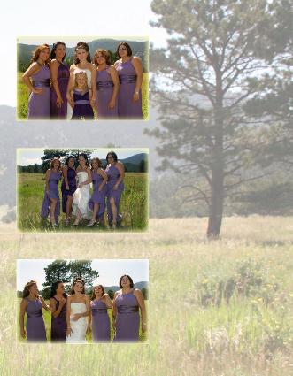 Classic & Digital Wedding Albums from Art Leather & Zookbinders!